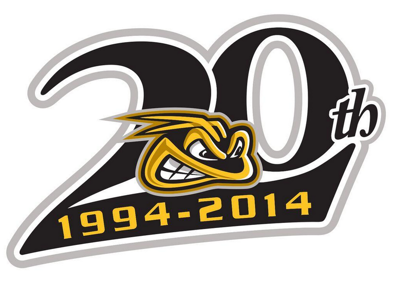 Sarnia Sting 2015 Anniversary Logo iron on transfers for T-shirts